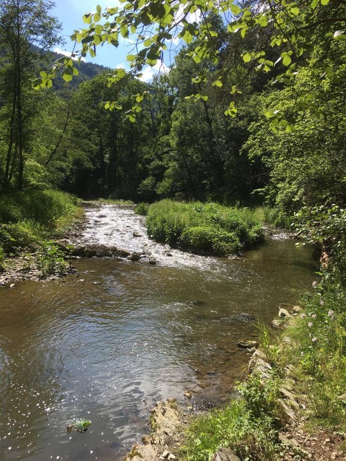 Ferienwohnung Raabklamm Arzberg Екстериор снимка